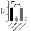 Rhoifolin potentiates the anti-cancer ...